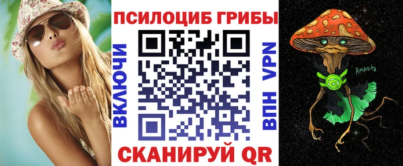 закладка  Данилов  Галлюциногенные грибы Cubensis 