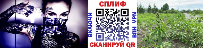 Бошки марихуана Bruce Banner hydra вход Данилов закладки