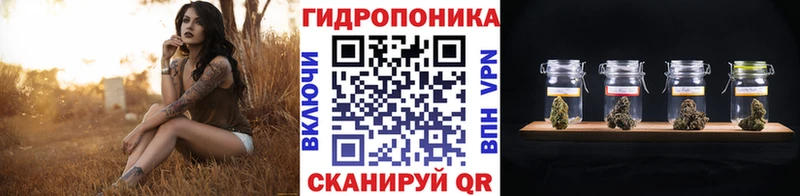 МАРИХУАНА AK-47 Данилов